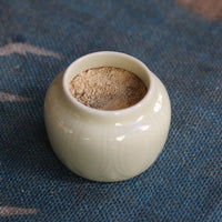 Tè bianco Yueguangbai in polvere