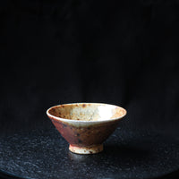 Layers of soil - 50 ml Dai Cup
