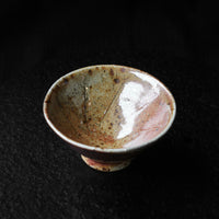 Layers of soil - 50 ml Dai Cup