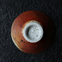 Layers of soil - 50 ml Dai Cup