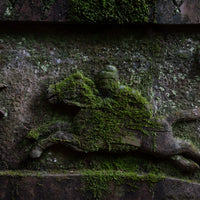 Free online seminar: The Tea Horse Road