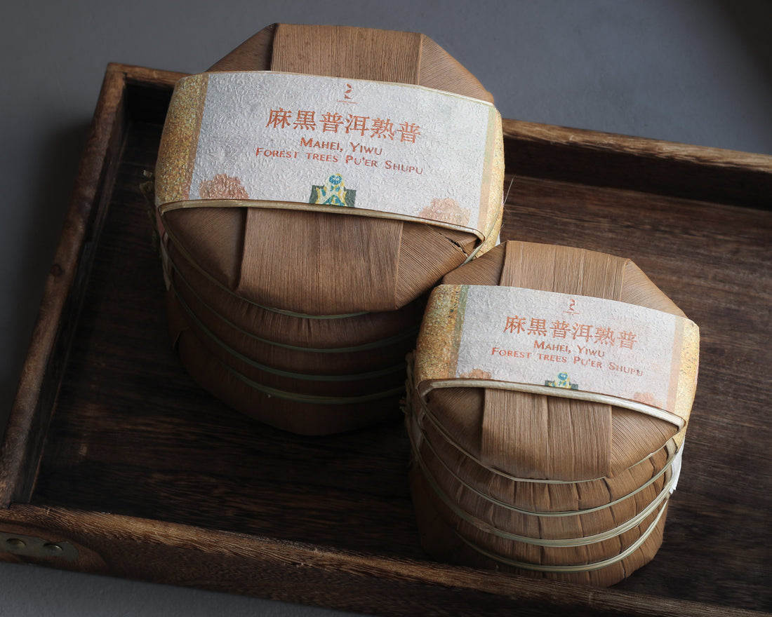 2024 Mahei Shu Pu'er - Yiwu Terroir, Wild Forest Tea
