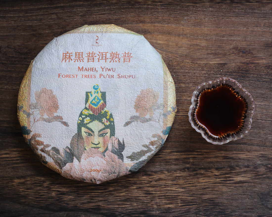 2024 Mahei Shu Pu'er - Yiwu Terroir, Wild Forest Tea
