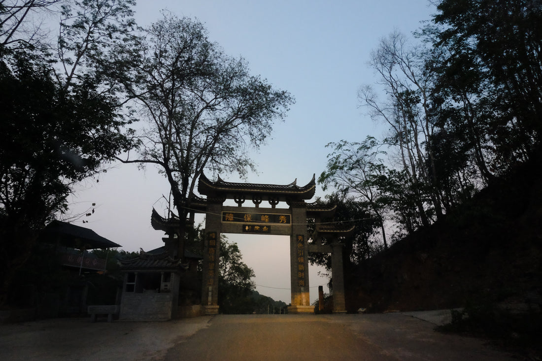 Free online seminar: The Tea Horse Road
