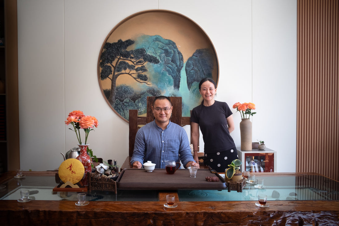 2024 Mahei Shu Pu'er - Yiwu Terroir, Wild Forest Tea