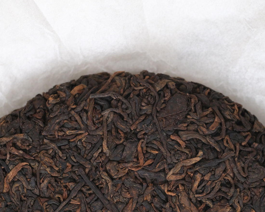 2024 Mangfei Shu Pu'er - Wild Forest Trees Shu Pu'er