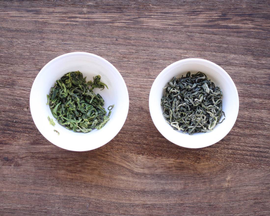 Duyun Maojian 都匀毛尖 - Green Tea