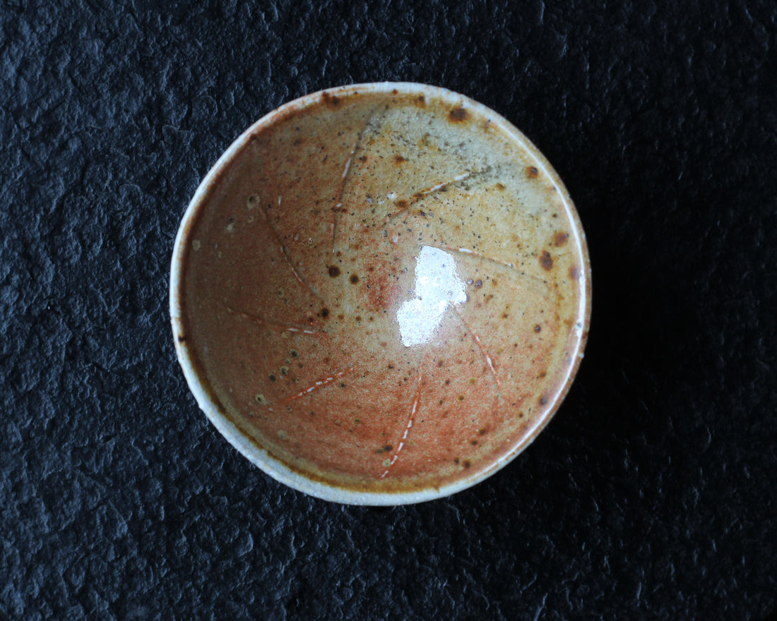 Layers of soil - 50 ml Dai Cup