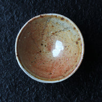 Layers of soil - 50 ml Dai Cup